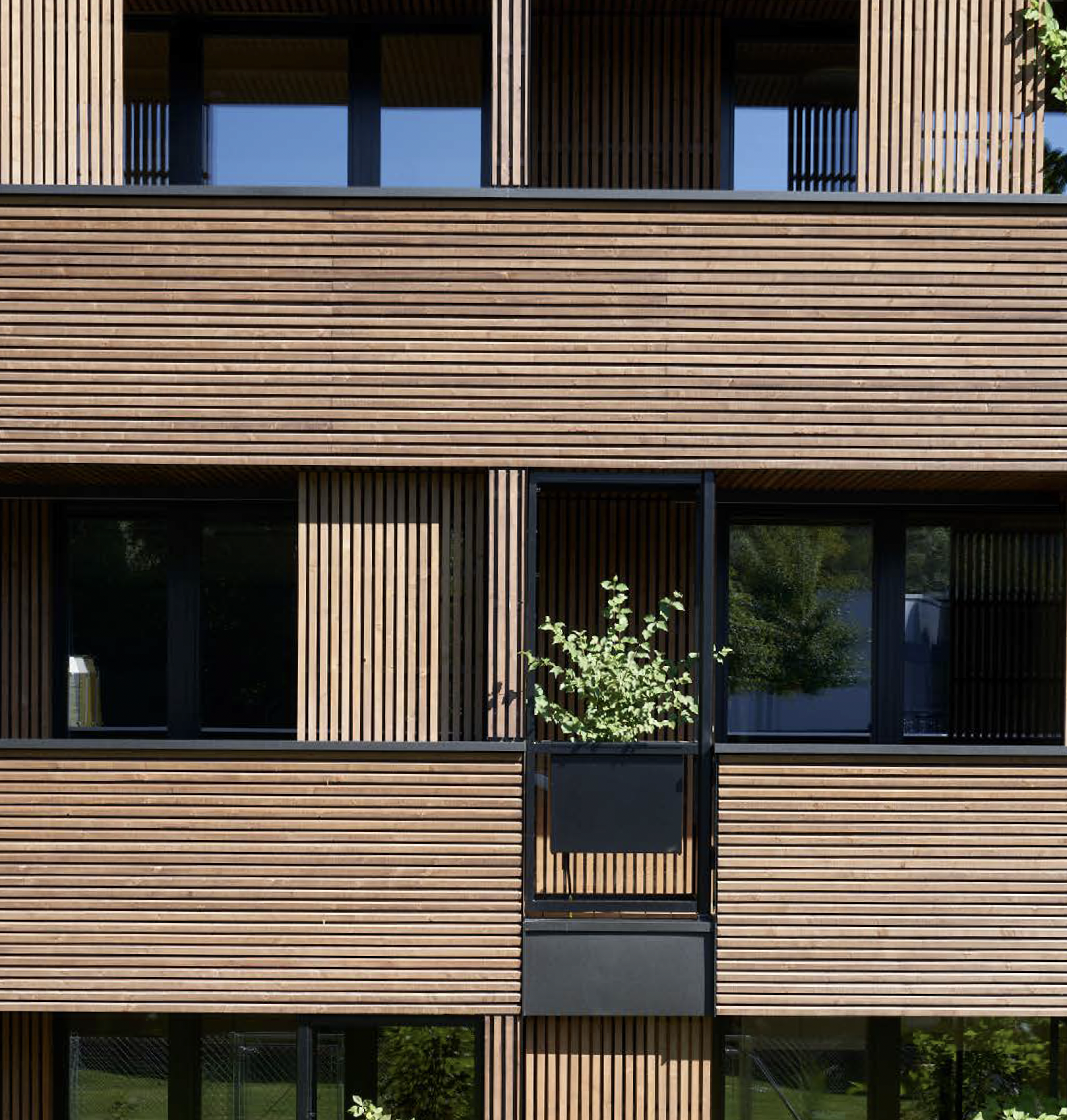 moderne Holz-Aussenfassade mit Balkon und Fenster